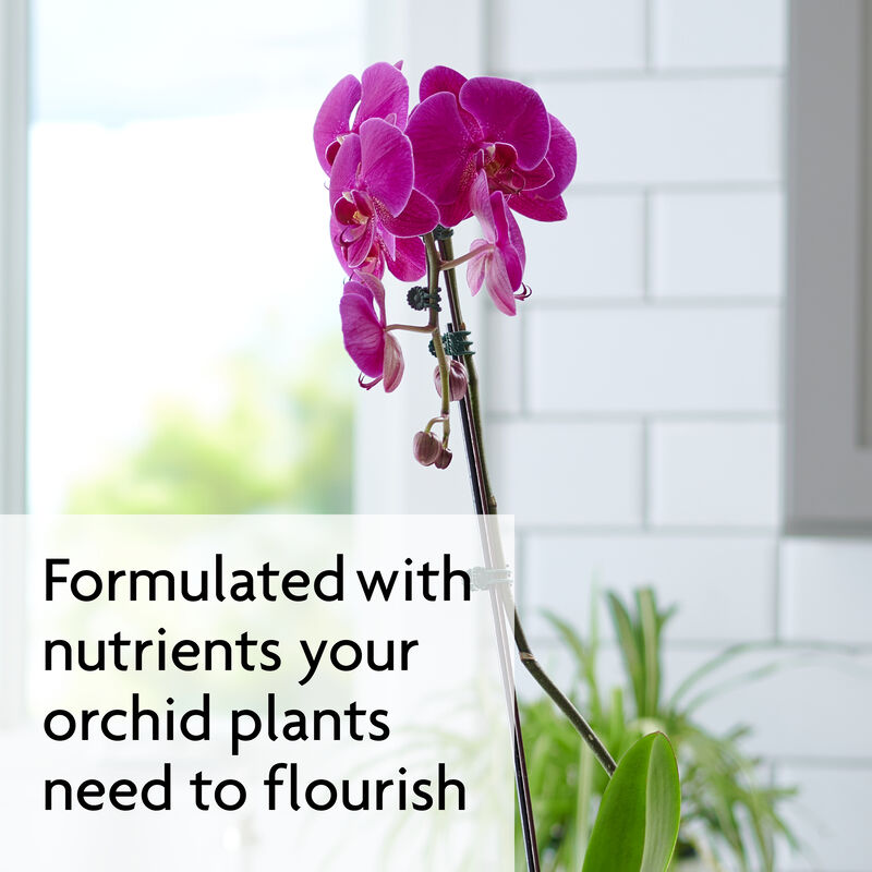 Miracle-Gro&reg; Water Soluble Orchid Food image number null